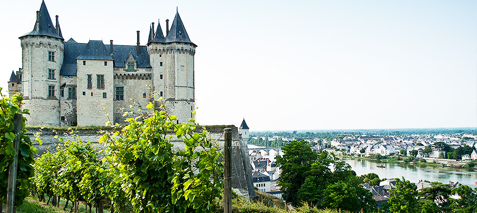 Loire Castle