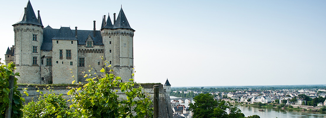 Loire Castles